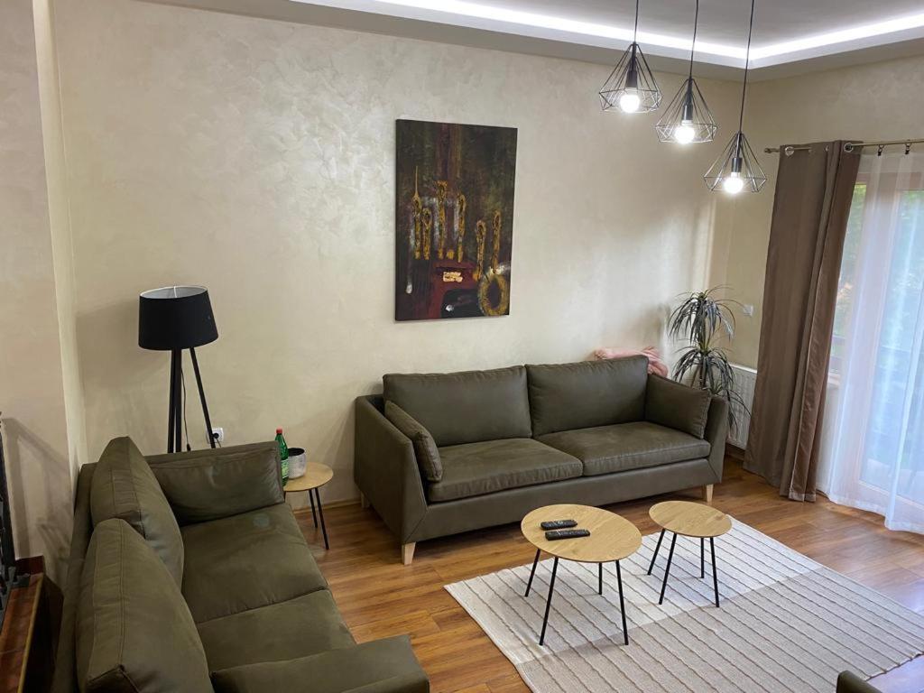 Apartments Vila Knez Златибор Номер фото