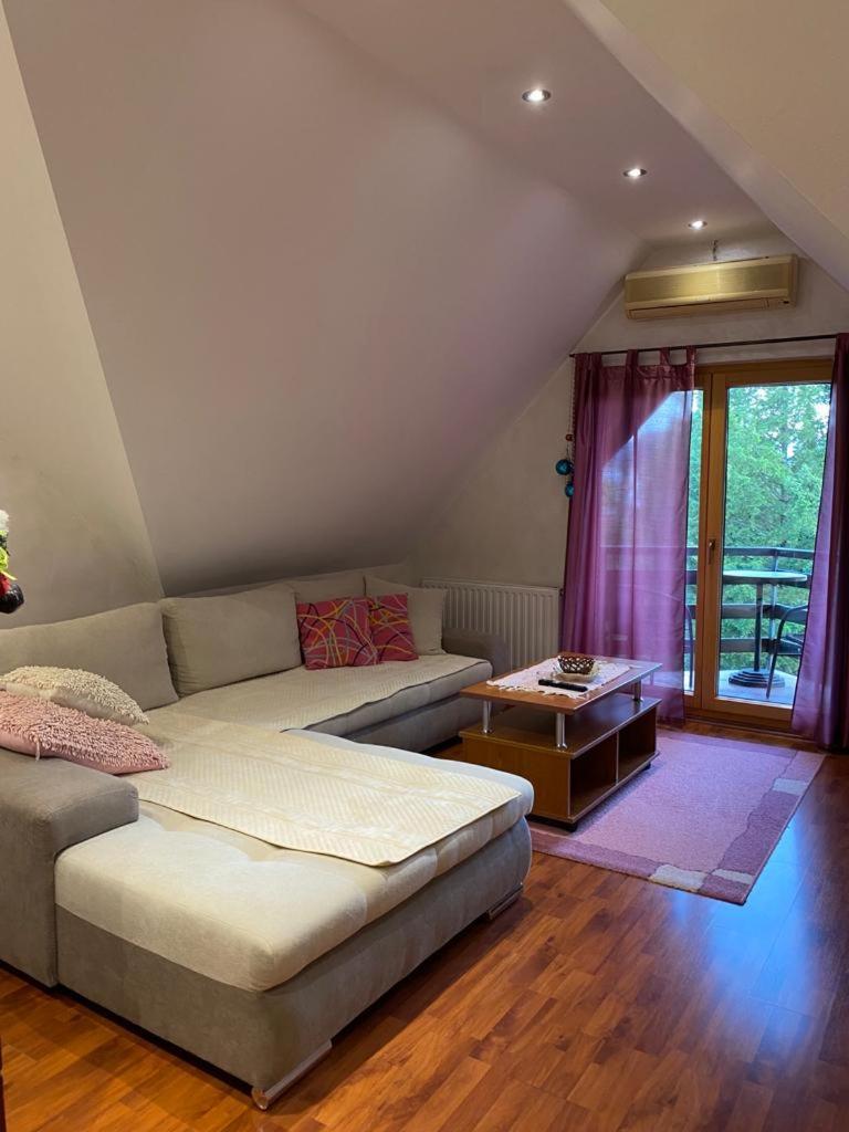 Apartments Vila Knez Златибор Номер фото
