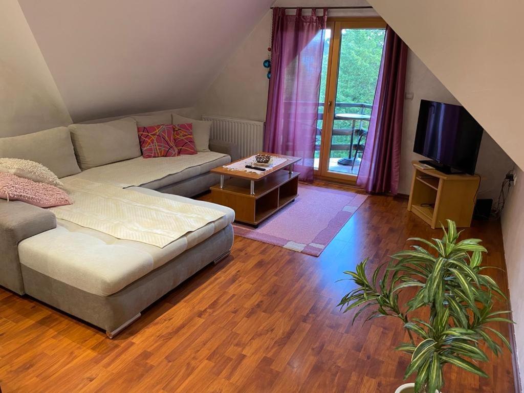 Apartments Vila Knez Златибор Номер фото